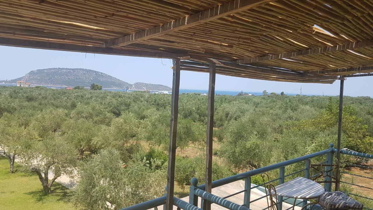 Megalos Kampos ماراثوبوليس المظهر الخارجي الصورة